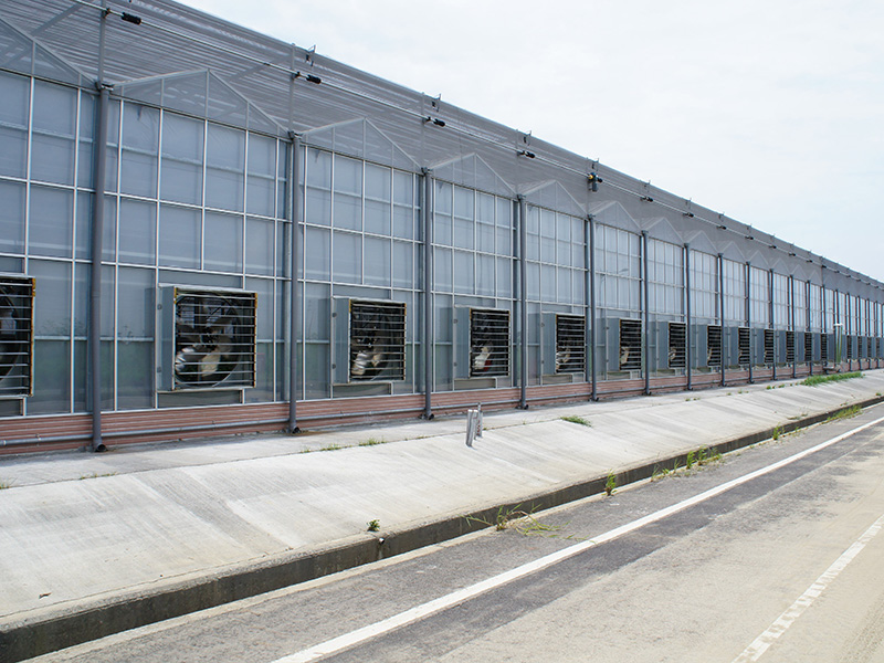 秦皇岛市玻璃大棚玻璃温室 - 哪里好